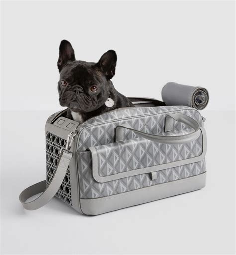 dior puppy collar|Dior pet carrier.